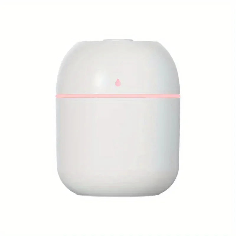 Umidificador Portátil de Névoa Minha loja