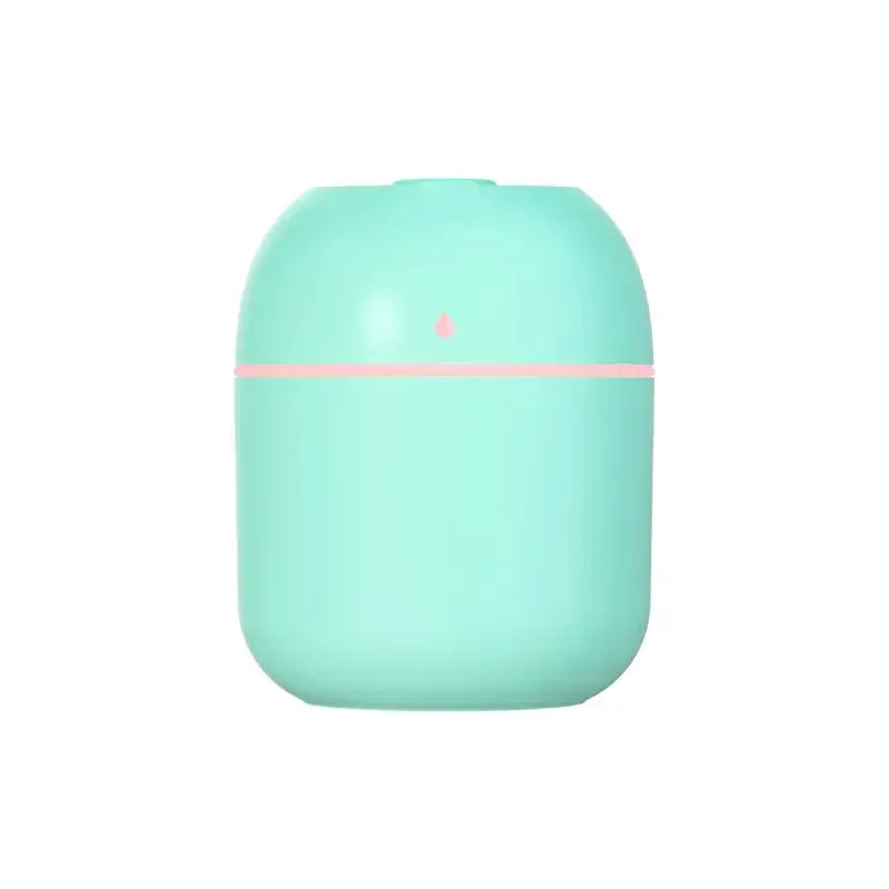 Umidificador Portátil de Névoa Minha loja