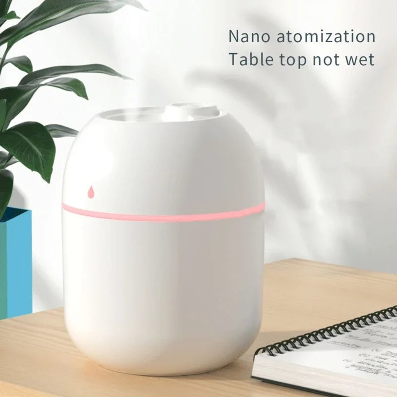 Umidificador Portátil de Névoa Minha loja
